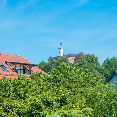 Arto Castle View Apartment リュブリャナ エクステリア 写真
