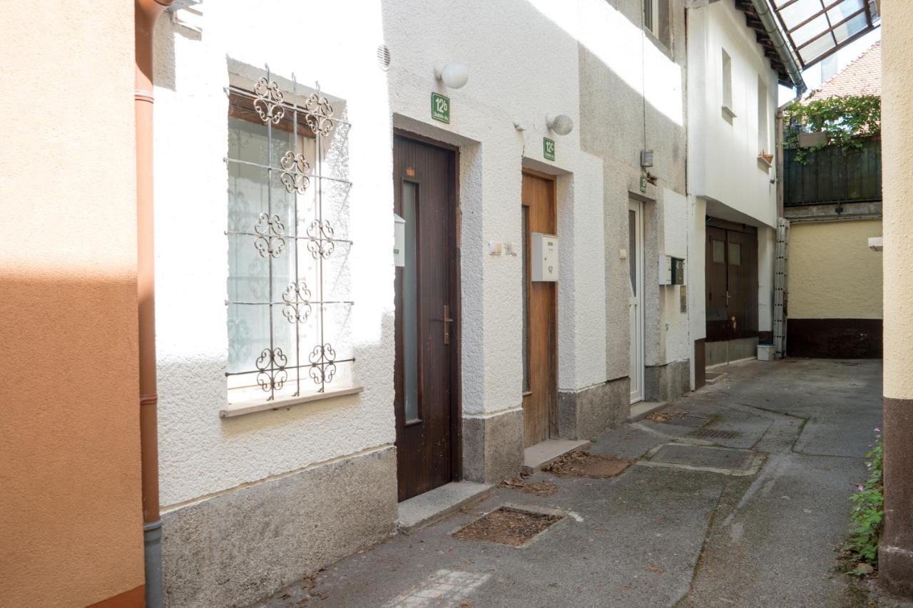 Arto Castle View Apartment リュブリャナ エクステリア 写真