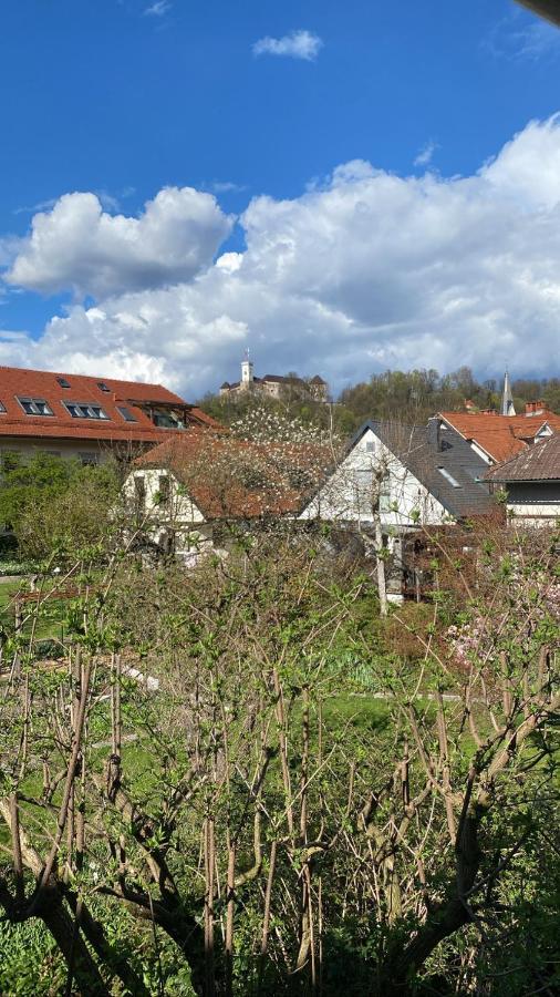 Arto Castle View Apartment リュブリャナ エクステリア 写真